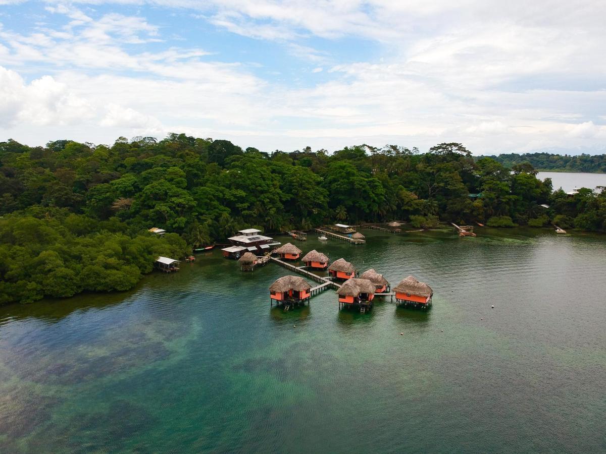 Eclypse De Mar Acqua Lodge Bastimentos Bagian luar foto