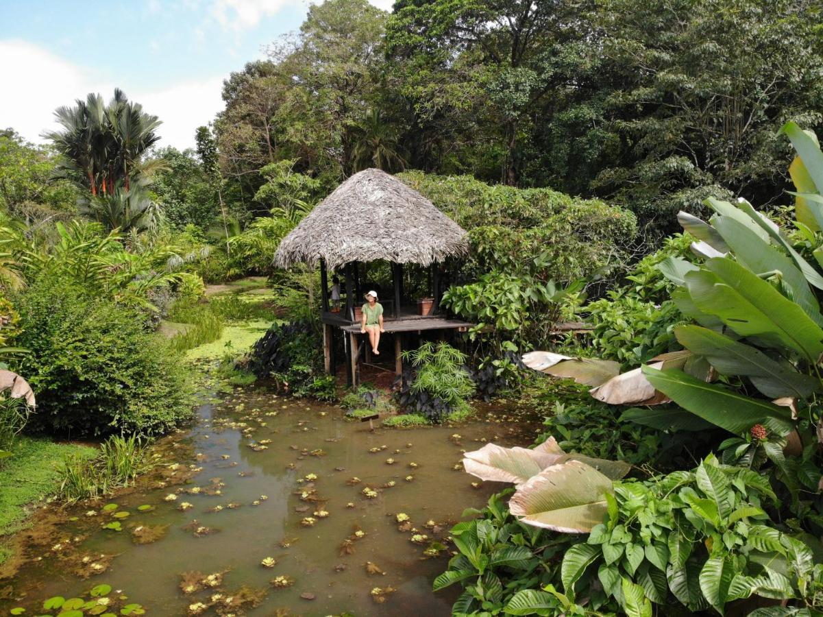 Eclypse De Mar Acqua Lodge Bastimentos Bagian luar foto